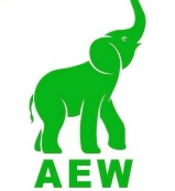 AFRICAN ELEPHANT WOOD ZERP